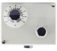 Jumo 60000196 Double thermostat