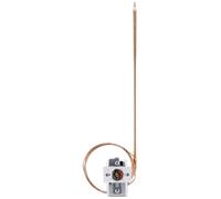 Jumo 60000214 Disjoncteur thermique