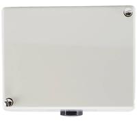 Jumo 60000489 Double thermostat