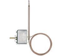 Jumo 60000494 2 points de réglage Régulateur de température 0 à 100 °C Relais 16 A