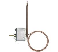 Jumo 60000494 Thermostat
