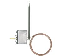 Jumo 60000495 Régulateur de température