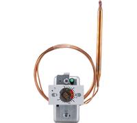 Jumo 60000929 Thermostat à encastrer 0 à 200 °C