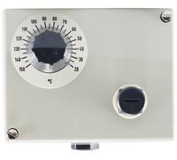 Jumo 60000989 Double thermostat