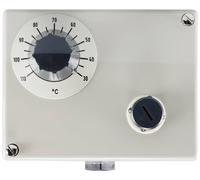 Jumo 60001876 Double thermostat