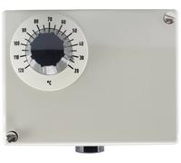 Jumo 60001932 Double thermostat