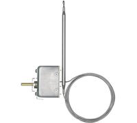 Jumo 60002085 Déclencheur thermique 20 à 500 °C Relais 16 A