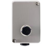 Jumo 60002099 Déclencheur thermique
