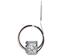 Jumo 60003225 Disjoncteur thermique