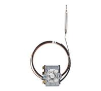 jumo jumo Thermostat de température 50-300 °C avec câble de 2 m 60003225 Quantité:1