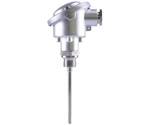 Jumo Thermomètre à résistance 00544265 sonde Pt100 Plage de mesure de température-50 à +400 °C