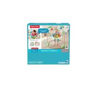 Fisher-Price Jumperoo Jungle