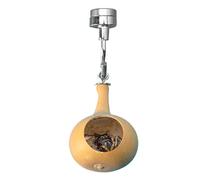 Jumping Spider - 4-5cm Magnetic Jumpińg Spider | Gourdes Naturelles - Jumping Spide Accessories | Spide Decor Spide - Logement pour Spring - Orament Intérieur