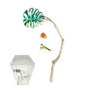 Jumping Spider Accessories - Iron Cotton Rope Climbing Habitat Enrichment Toy, Pet Enclosure Decor | Mental Stimulation Feeding Resting Space for Home Office Study Display Use