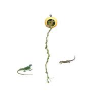 Jumping Spider Accessories - Jumping Spider, Magnetic JumpingG Spiderr Habitat, Terrariums Hideaway House Accessories for Crested Geckos Centipedes Small Reptiles Arthropods