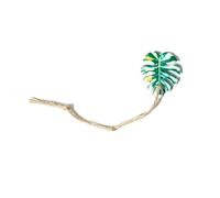 Jumping Spider Accessories - Realistic Climbing Decoration Toys, Enclosure Habitat Play Accessories for Jumping Spiders, Resting and Exploration Setup for Home Office Study Display