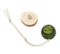 Jumping Spider Accessories - Terrarium Habitat Climbing Supplies Set, 70g Natural Enclosure Decor for Spider Reptile Tank, Mini Landscape Climbing Elements for Bearded Dragon Snake Turtle Frog Use