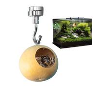 Jumping Spider Cave - Jumping Spider House | Jumpîng Spîder Hiding Nest With Magnetism | Natural Gourds Jumpîng Spîder Enclosure For Spiders Cave Decor