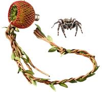 Jumping Spider Decor,Magnetic Tank Cave Decor - Jumping Spider Terrarium Cave,for Climsbing Hiding Landscape Playing Ressting Foraging Tarantula Mantis Scorpions
