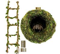 Jumping Spider Enclosure Accessories - Moss Ball Magnetic Climbing with Kit | Jumping Spider Enclosure Accessories Kit for Hiding Climbing | Resting Exploration Glass Cages Reptile Tanks Jumping Spider