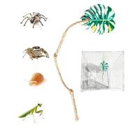 Jumping Spider Enclosure Decor - Encourages Exploration, Simulated Green Ivy Leaves Vine, 18cm Rope Length + 5.2cm X 4.4cm Frame, Woven Cotton Rope & Iron Wire - for Climbing & Tank Habitat