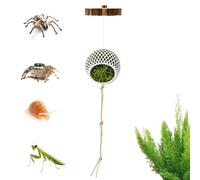Jumping Spider Enclosure Decor - Habitat Supplies Climbing,Tarantula Enclosure Accessories - Terrarium Reptiles Bearded Snakes Turtles Tortoises Frogs Hermit Crabs