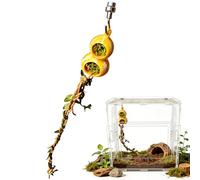 Jumping Spider Enclosure Decor - PVC Magnetic Reptile Tank Decoration | Magnetic Reptile Tank Decoration | Jumping Spider Hiding Cave | For Terrarium Aquarium Enclosure Landscape Playing Escalade