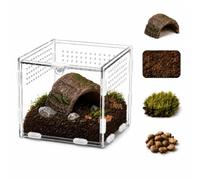 Jumping Spider Enclosure Kit, Tarantula Enclosure Accessories-C||10cm | Enclos pour araignées, tarentules, escargots, mantes religieuses, lézards et petits reptiles, terrarium pour grenouilles