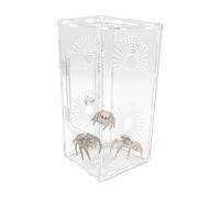 Jumping Spider Habitat - 30x15x15cm Boîtier Acrylique Pour Grenouilles Mantes Prières, Terrarium Clair Sûr Avec Couvercle D'Aération, Outils De Nourriture, Maison Observatoire Pour Adultes Enfants