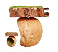 Jumping Spider Habitat - Accessoire D’escalade Magnétique Fait À La Main, Jouet D’habitat Pour Reptiles | Plate-forme De Trou De Cachette D'enceinte, Cabane En Noyer De Pelouse Simulée Pour L'enrichis