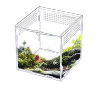 Jumping Spider Habitat - Clear Acrylic Enclosure, Multi-Purpose Terrarium with Ventilated Design, Snake Gecko Lizard, Frog Spider Small Reptile for Breeding and Display