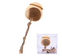 Jumping Spider House - En Bois Naturel, Chambre Acrylique Transparent, Unité De Logement Compacte Pour Les Insectes, Conteneur D'Observation De Table | Pour Les Arthropodes Exotiques Que M