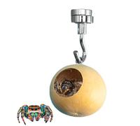 Jumping Spider House - Nid cachette d'araignée sauteuse avec magnétisme, enclos naturel pour petit habitat pour araignées d'animaux de compagnie | Accessoires de cage de tarentule pour l'observation