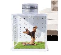 Jumping Spider House, Reptile Enclosure Tank with Humidifier, Feeding and Breeding Box for Small Tree-Dwelling Reptiles, Amphibians, and Spiders, All-Glass Terrarium