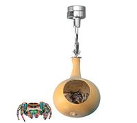 Jumping Spider House, Spider Hiding Nest, Jumping Spider House, Magnetic Spider House, Jumping Spider Nest, Spider Enclosure with Magnetism, Natural Gourds Spider House, for Jumping Spiders