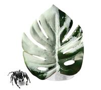 Jumping Spider Plants - Realistic Pet Supplies, Spider Habitat for Greenhouse Terrarium, Suction Cup House with Interactive Design, Indoor Zoo, Snake Carpet for Hermit Egg and Bird Coop