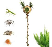Jumping Spider Shelter, Magnetic Decorative Habitat Accessory with Climbing Rope, Enclosure and Resting Shelter for Small Reptiles Cage Playing Exploration Resting Sleeping and Habitat Use
