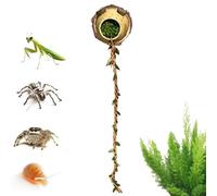 Jumping Spider Shelter, Magnetic Decorative Habitat Accessory with Climbing Rope, Enclosure and Resting Shelter for Small Reptiles Cage Playing Exploration Resting Sleeping and Habitat Use