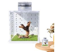 Jumping Spider Terrarium, 8x6.5x6.5cm, Transparent Turtle Tank, Small Praying Mantis Habitat, Breeding Box with Light & Humidifier for Small Tree Dwelling Reptiles, Clear