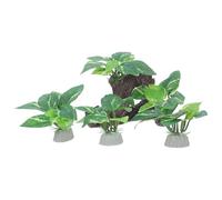 JUMPLAWN 4 Pièces Décor en Bois Flotté Artificiel pour Aquarium Cachettes pour Crevettes et Poissons Rouges, Plantes Réalistes en Plastique, Facile à Nettoyer pour Aquarium