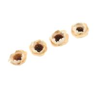 JUMPLAWN 4 Pièces Tête Fleur de Diffuseur Parfumé, 7cm, Beige | Installation Facile, Remplace les Têtes Usées, Prolonge la Diffusion, pour Maison et Études