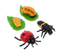 JUMPLAWN 4pièces Figurines De Cycle De Vie De Coccinelle Jouets Éducatifs Simulation pour Garçon Fille Ornements Décoratifs Amusants pour Apprentissage Et Jeu