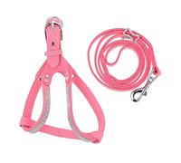 JUMPLAWN Harnais pour Chien Réglable en Microfibre Laisse Sangle de Poitrine Douce et Confortable 2Pcs Accessoires pour Animaux de Compagnie Promenade Voyage