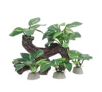 JUMPLAWN Lot de 4 grottes en Bois flotté pour Aquarium, cachettes réalistes pour Poissons, adaptées aux Aquariums d'eau Douce et d'eau de mer, conviennent aux crevettes, bettas et