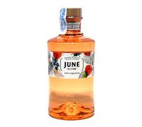 JUNE by G'Vine Gin Liqueur Wild Peach & Summer Fruit 30% Vol. 0,7l