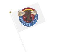 Juneteenth célébrant la liberté des Noirs 1865 Drapeaux afro-américains Petit drapeau Drapeaux portatifs avec mât pour la décoration de fête