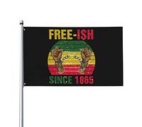 Juneteenth Free-Ish depuis 1865 Drapeau de l'histoire des Noirs 0,9 x 1,5 m Un côté extérieur Ferme Cour Panneau Jardin Drapeau décoratif avec œillets en laiton