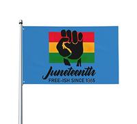 Juneteenth Free-Ish depuis 1865 Drapeau de l'histoire des Noirs 0,9 x 1,5 m Un côté extérieur Ferme Cour Panneau Jardin Drapeau décoratif avec œillets en laiton