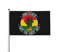 Juneteenth Free-Ish depuis 1865 Drapeau de l'histoire des Noirs 0,9 x 1,5 m Un côté extérieur Ferme Cour Panneau Jardin Drapeau décoratif avec œillets en laiton