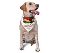Juneteenth Free-Ish Depuis 1865 Noir Histoire Bandanas pour Chien Foulard Triangle Bavoir Chats Foulard Réglable Accessoires pour Petit Moyen Grand Chiot